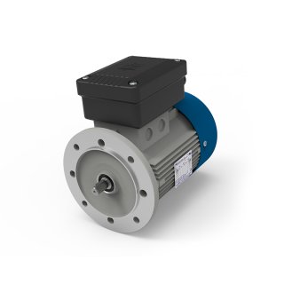 M.T. Motori Elettrici